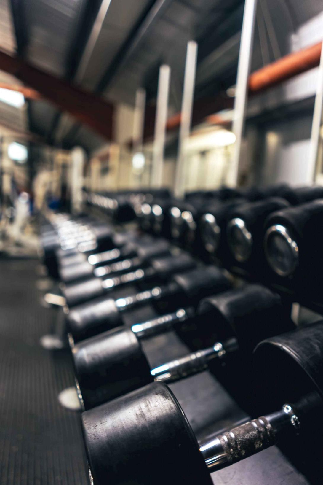 Dumbbells on a rack