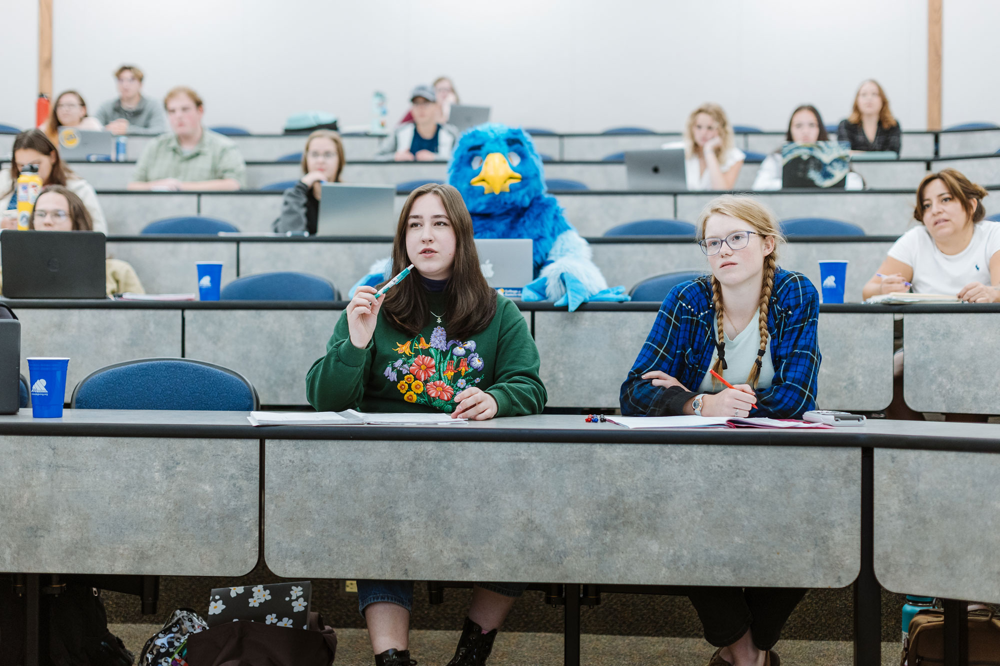 Students in class with Frankie the Falcon