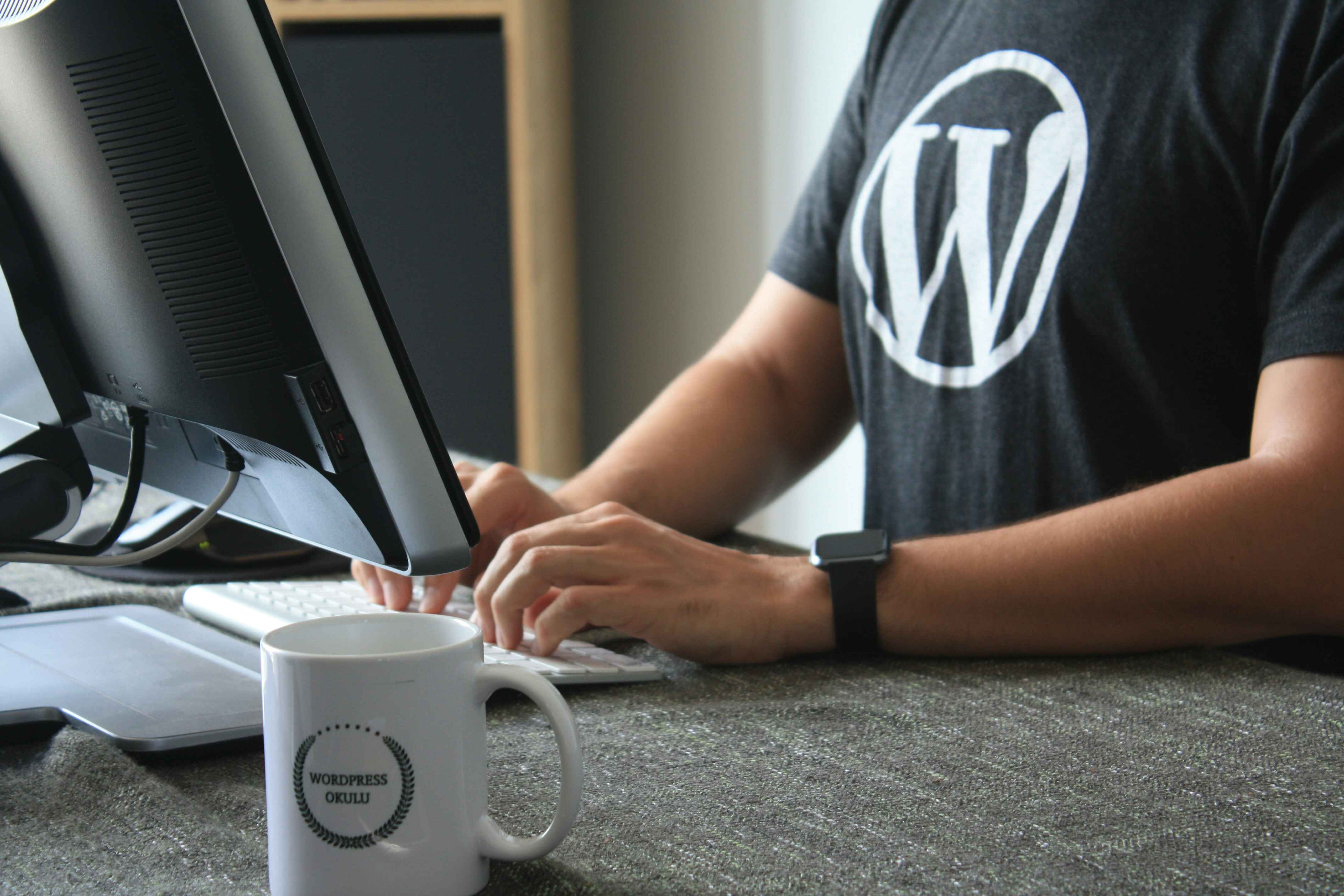 Person working on a WordPress site