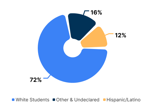 Ethnicity/Race Chart