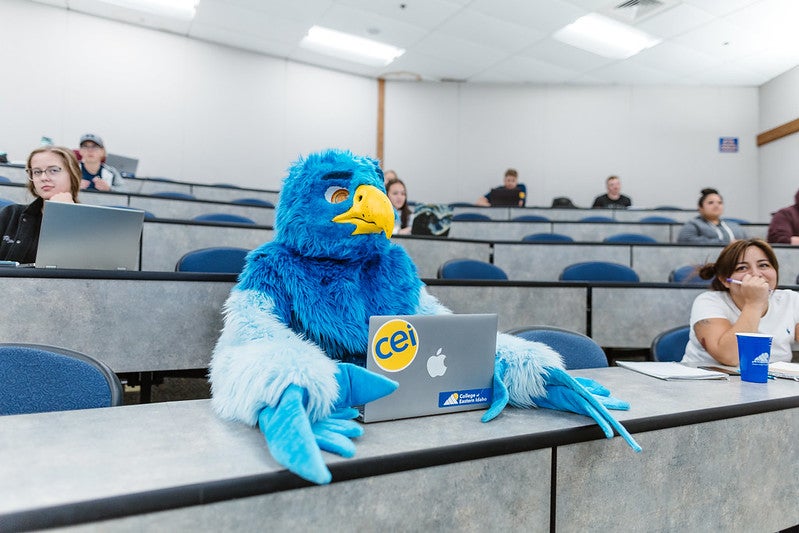 Photo of Frankie in a classroom