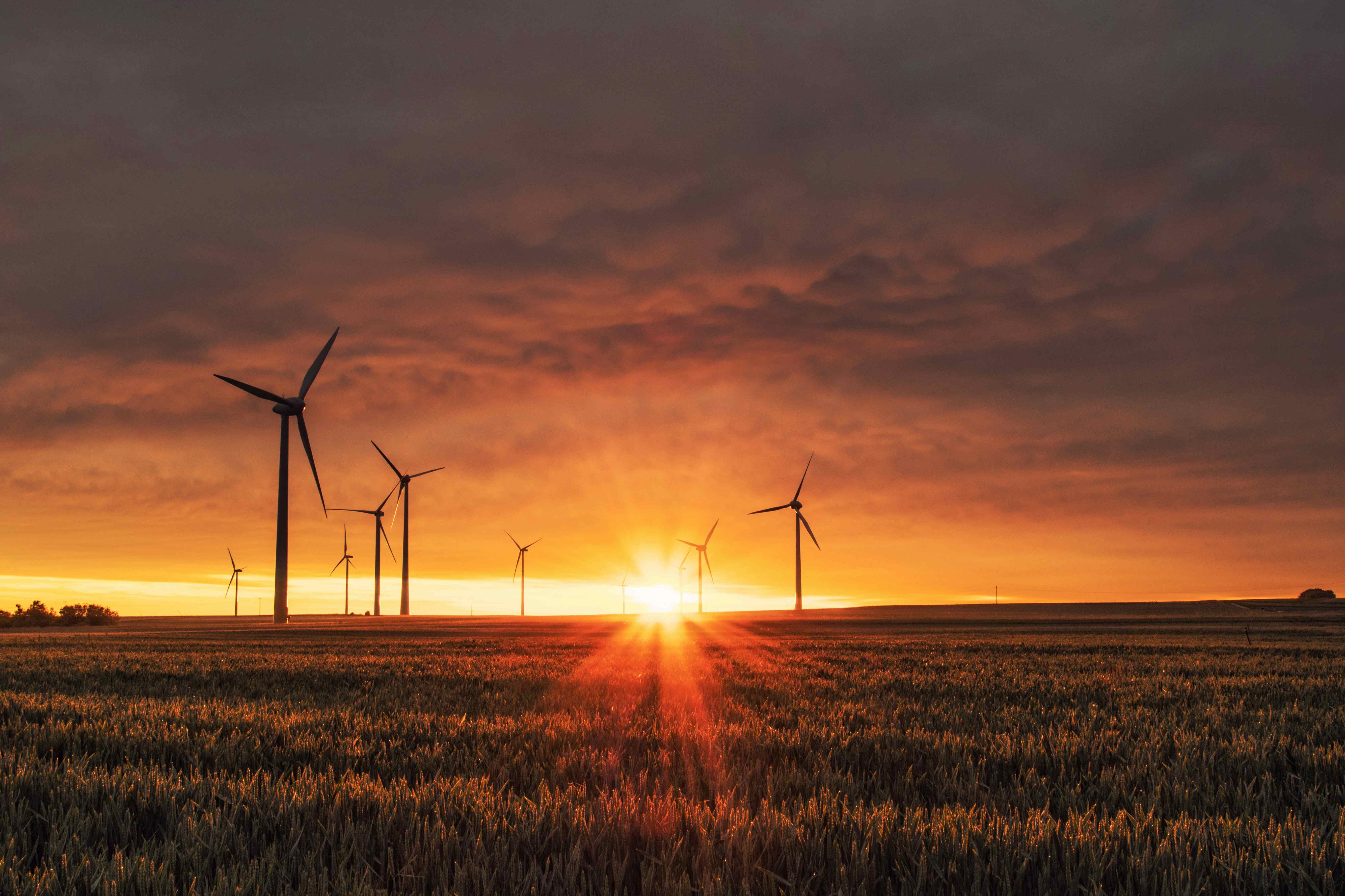 Stock image of windmills near a field at sunset