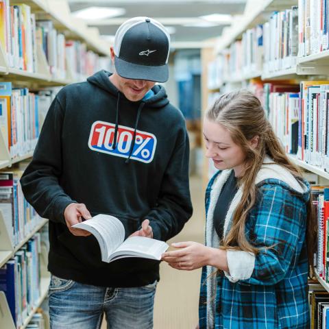 Students reading in a library