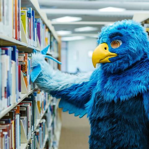 Falcon mascot using the library