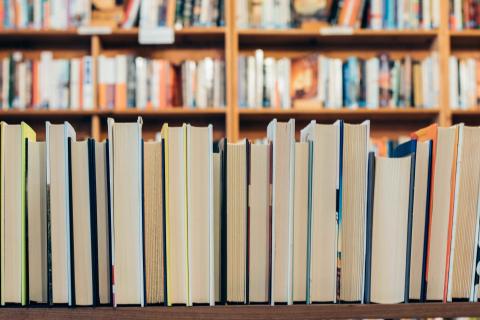 Image of books on a shelf