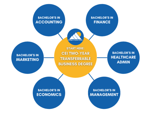 Business Degree Educational Flow Chart